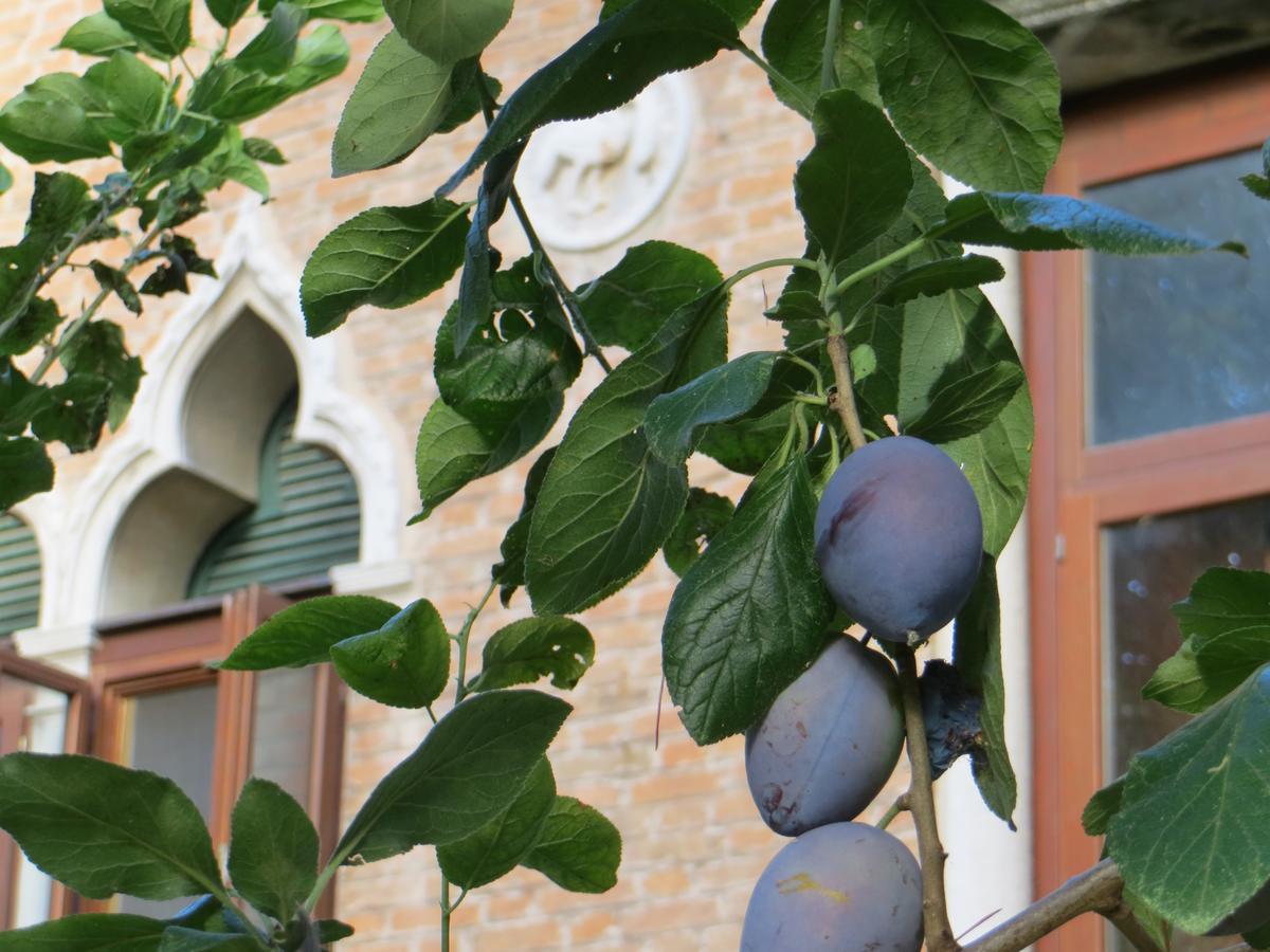Villa Elisabetta Veneţia-Lido Exterior foto